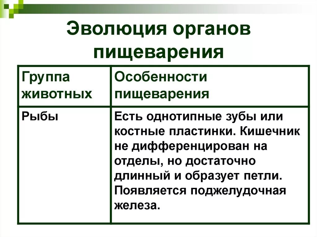 Направления эволюции пищеварительной. Эволюция пищеварительной системы животных таблица. Пищеварительная система животных таблица. Эволюция органов пищеварения у животных таблица. Органы пищеварительной системы животных таблица.