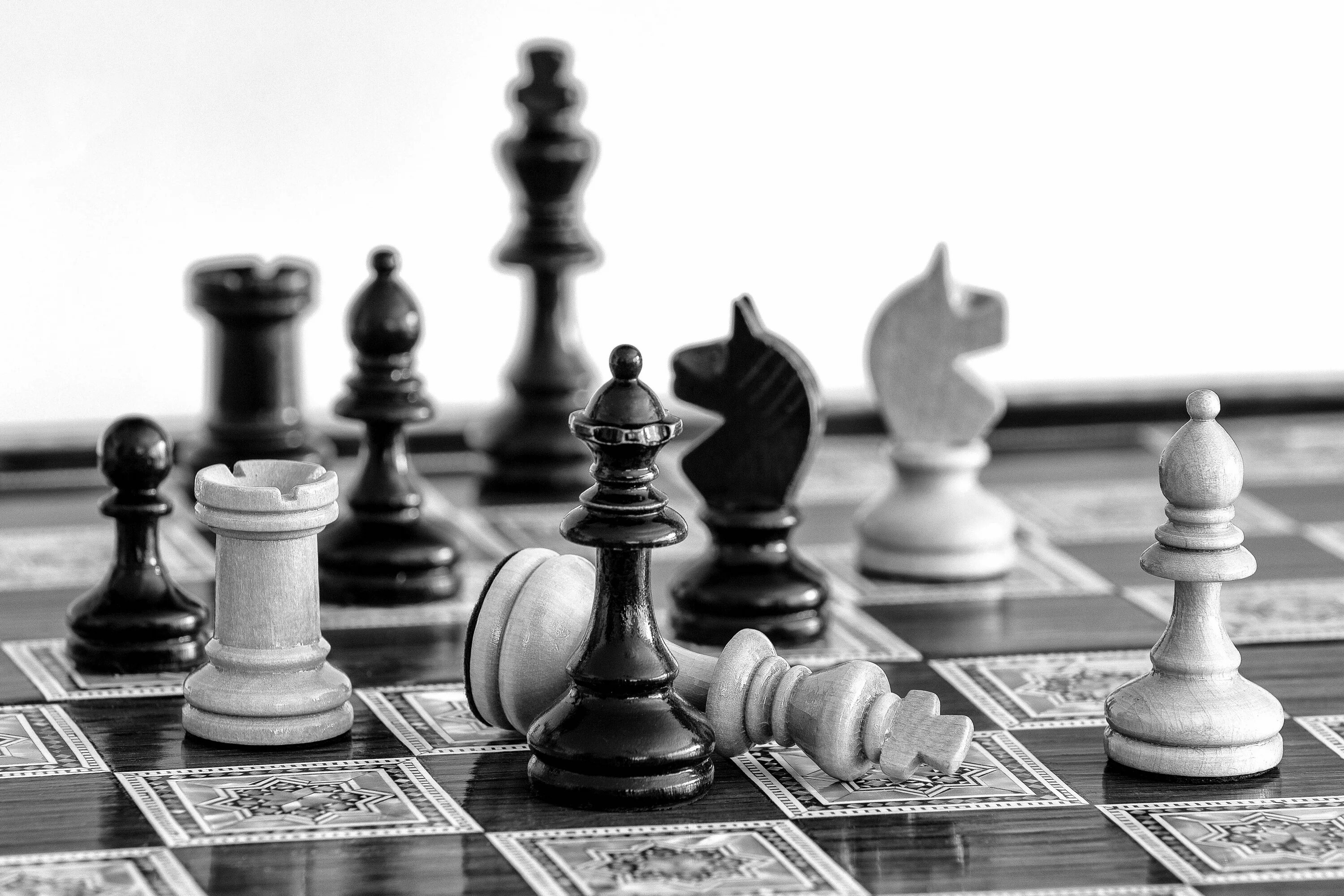 На шахматной доске 5 белых фигур. Шахматы. Шахматные фигуры. Шахматная доска. Шахматная доска черно белая.
