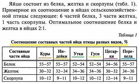 Белки в 100 граммах яиц куриных