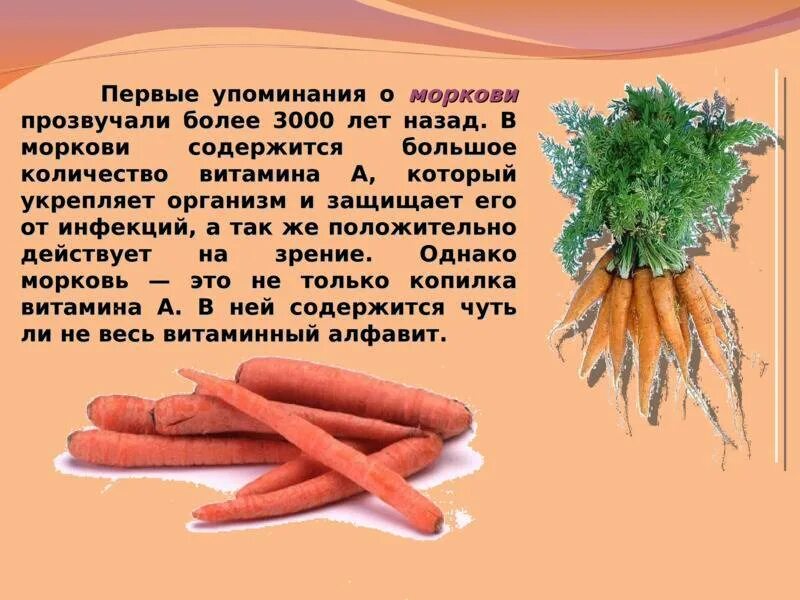 Морковь витамины содержит. Вывод о моркови. витамины в морковке. какие витамины в моркови. что содержится в моркови.