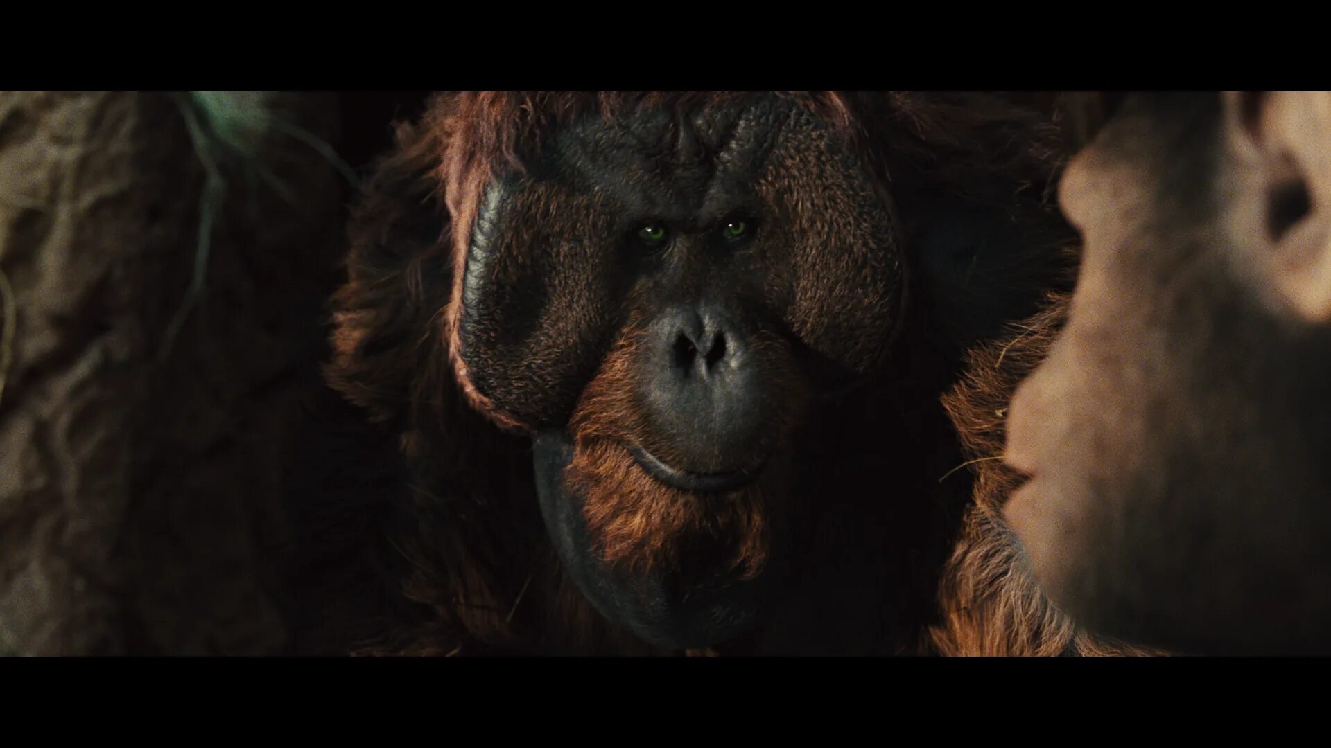 Планета обезьян цезарь 1. Планета обезьян революция синеглаз. Планета обезьян с субтитрами жестов. Восстание планеты обезьян энди сёркис. Тоби кеббелл планета обезьян.