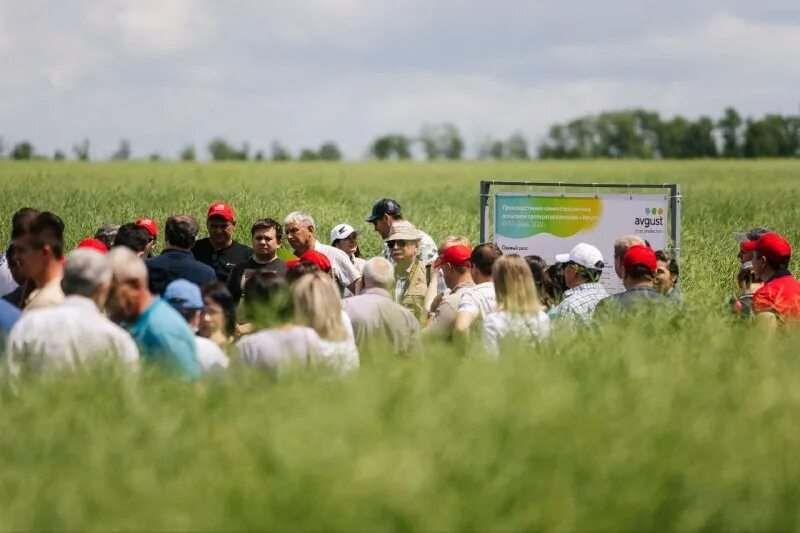 Кукуи день поля удмуртия. Август муслюм директор. Фирма август средства защиты растений. Ооо август муслюм. Агрофирма суздальские зори.