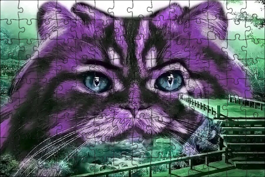 Фиолетовый котенок. Перпл кэт. Лилово-голубая кошка. Проект purple cat заработок. Проект purple cat заработок.