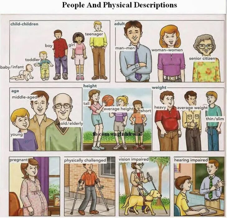 Describing physical appearance. Describing people. describe people. people description. people description 5 класс.