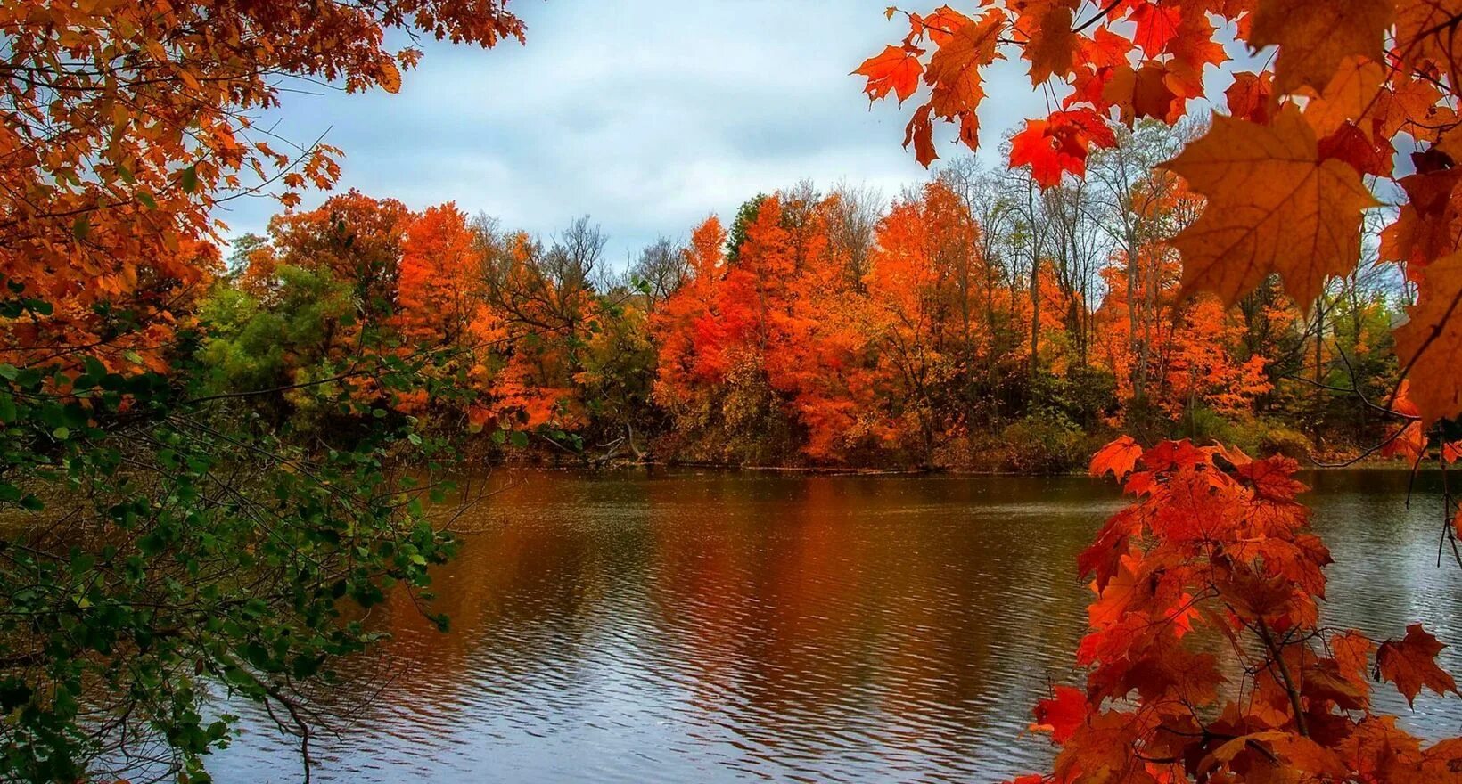 Осень. Багряная пора. Осень. Осенняя пора. Красивая осень.