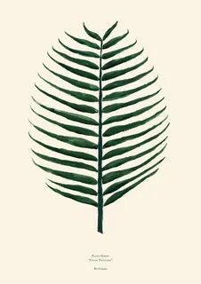 Plant series