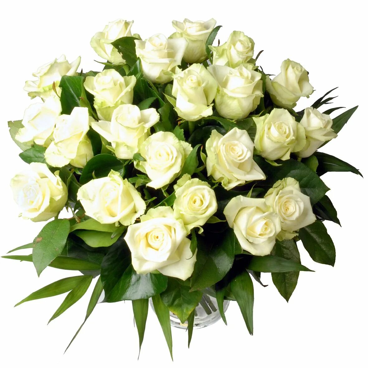 Сон белые розы букет. Букет белых роз. Шикарный букет белых роз. Красивый букет белых роз.