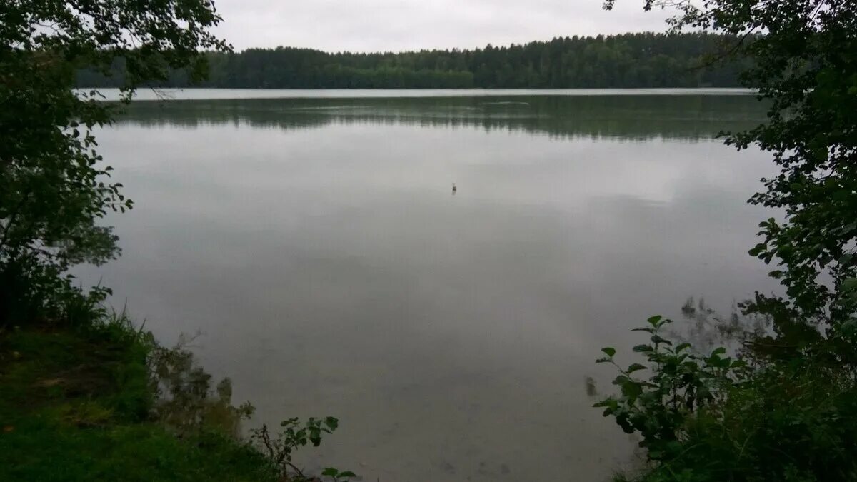 Ефимовское озеро богородский. Казань богородске озера. Озеро саламыковское казань. Озера для рыбалки казань. Богородское озеро казань рыбалка.