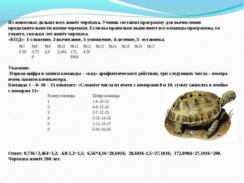 Размер панциря красноухой черепахи по годам. Как понять Возраст черепахи красноухой. Как определить Возраст красноухой черепахи в домашних. Среднеазиатская сухопутная черепаха Размеры.