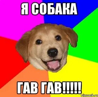Песня моя собачка дороже тебя гав гав