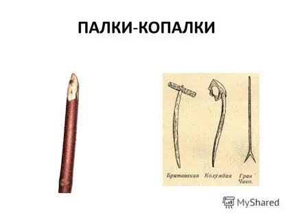 Древнейшая палка