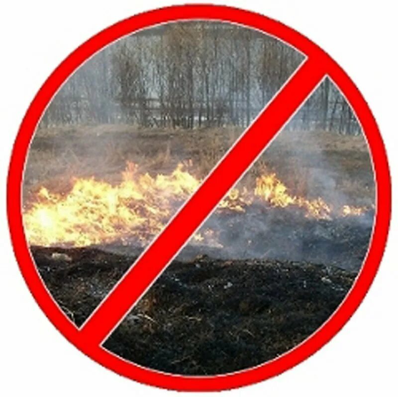 Выжигание сухой растительности запрещено. Не сжигайте сухую траву. Нельзя поджигать сухую траву. Пал сухой травы запрещен.