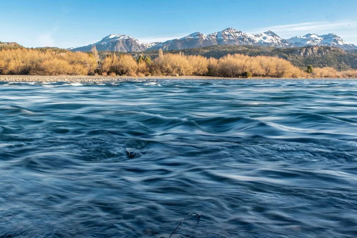 Река текущая из моря. Река амур. тайга на реке амур. река амур хабаровский край. река амур река.