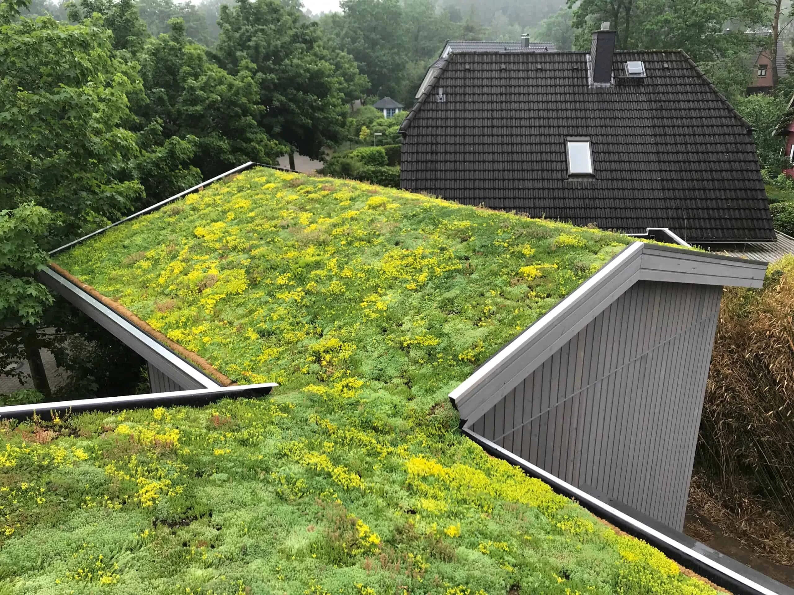 Augustenborg Green Roof. ЭКОРАСТЕР экоседум модульная Green Roof. Озеленение крыш. Озеленение крыш домов.