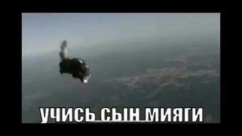 Сын мияги мем кот