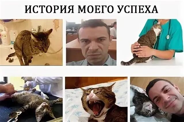 Коту 19 лет