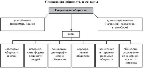 Социальные группы основная форма социальной общности