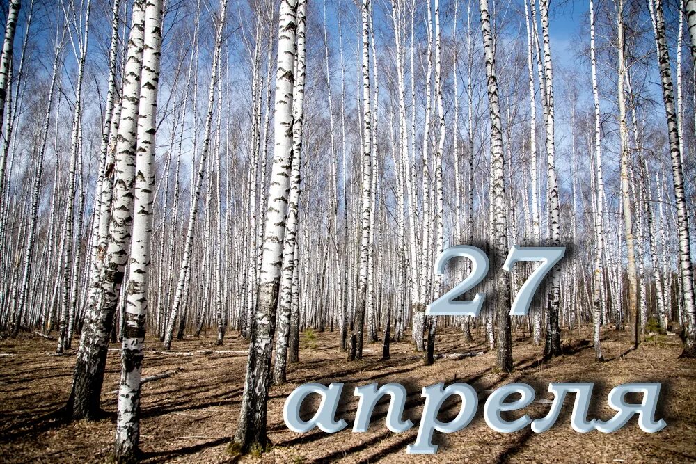 Доброе утро 27 февраля 2024 года. 27 Апреля. 27 Апреля народный календарь.