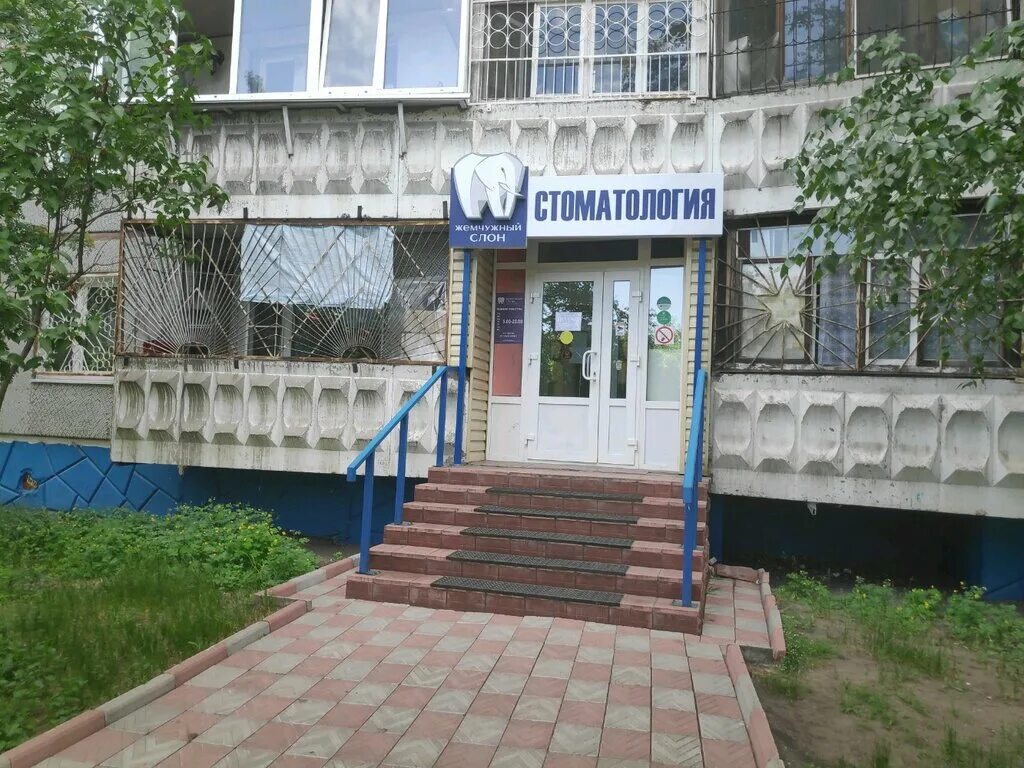 масленникова 45 жемчужный слон. жемчужный слон стоматология омск. жемчужный слон отзывы. белый слон стоматология омск масленникова 45. жемчужный слон стоматология омск.