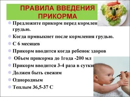 Когда новорожденному можно давать прикорм