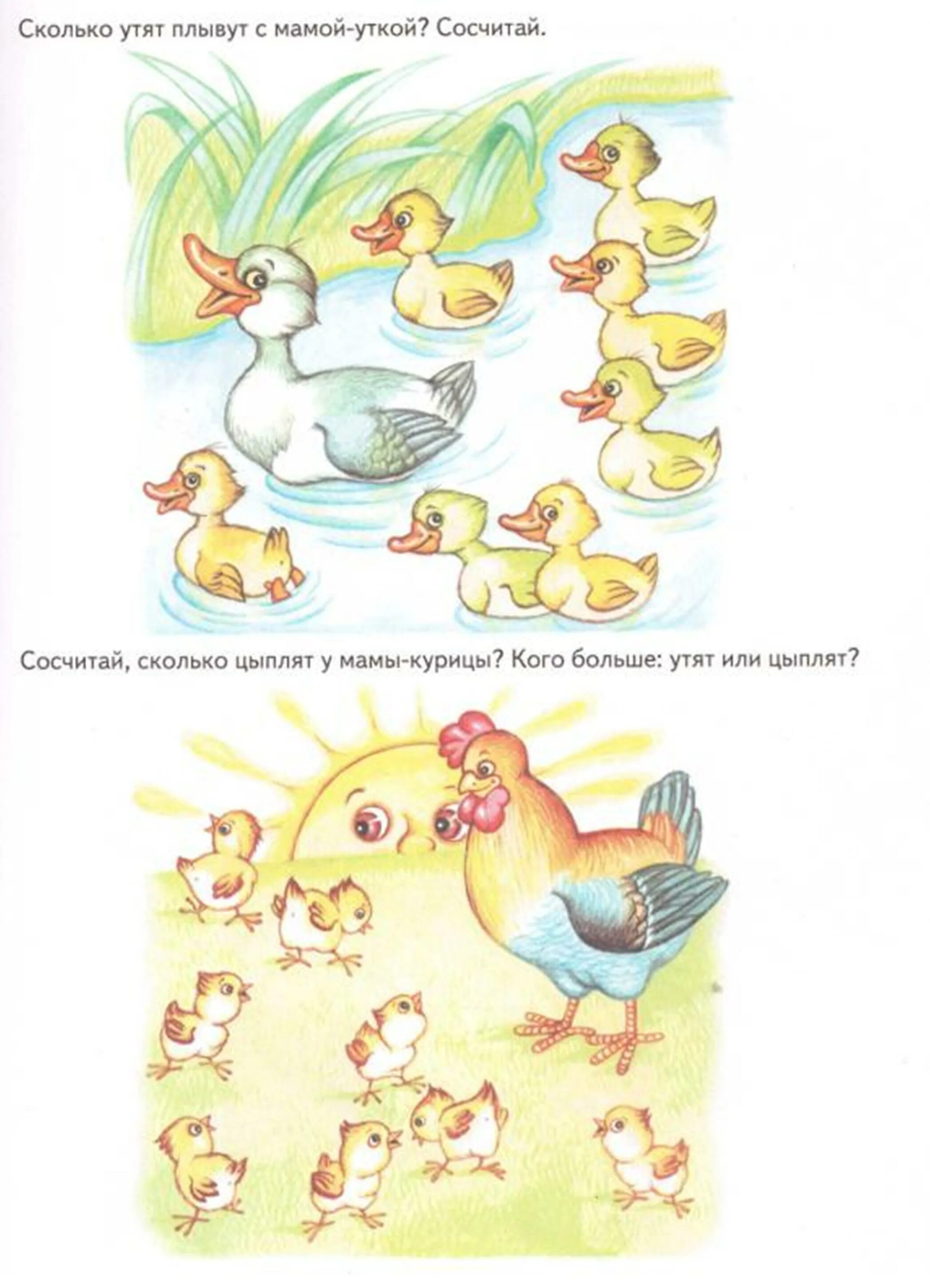 утки задача. задача про уток и утят. сколько утят. момент силы задачи с решениями. домашняя птица лексическая тема.
