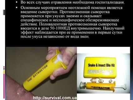 Сыворотка против яда гадюки