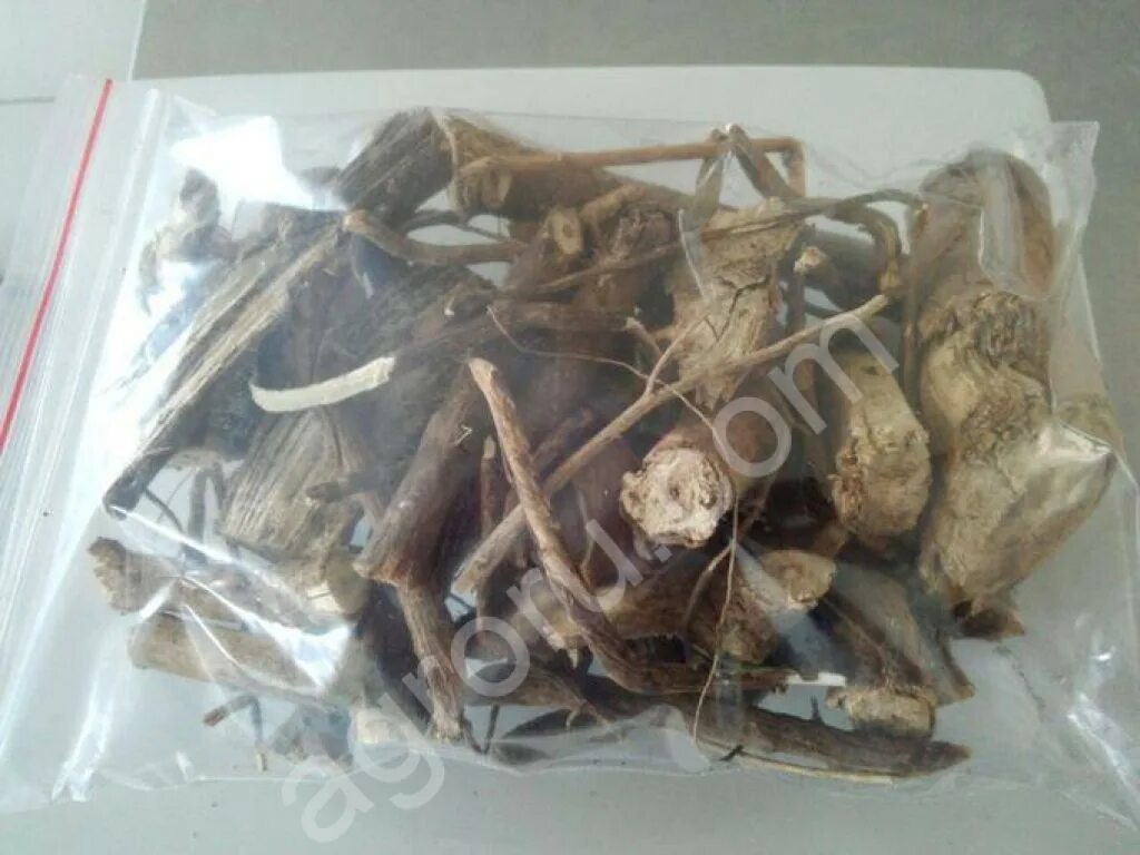 Корни аралии маньчжурской сырье. Сырье аралии маньчжурской. Аралия маньчжурская таблетки. Аралия маньчжурская лрс. Корни аралии маньчжурской сырье.