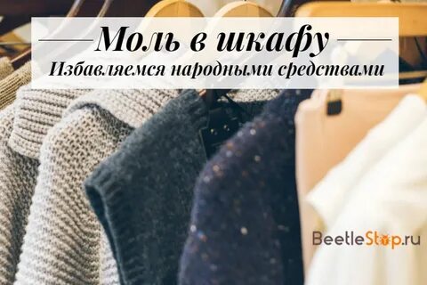 От моли в шкафу