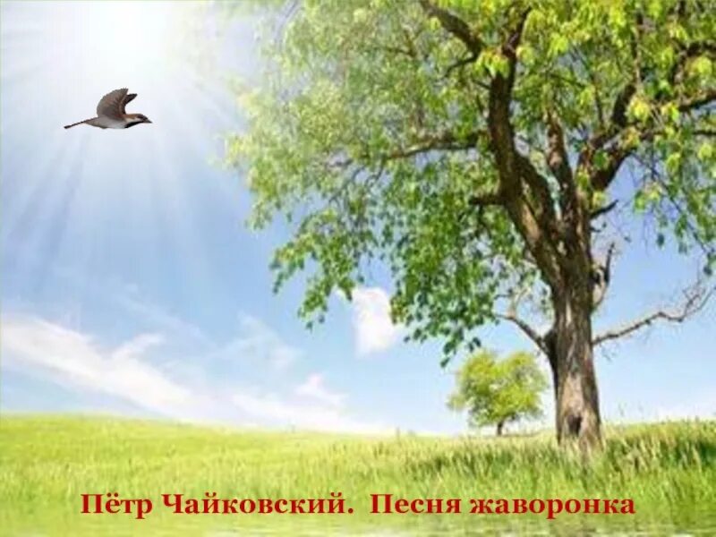 Март песня жаворонка чайковский. Песнь жаворонка чайковский иллюстрация. Чайковский март песня жаворонка слушать. Композиция чайковского жаворонок. Времена года.