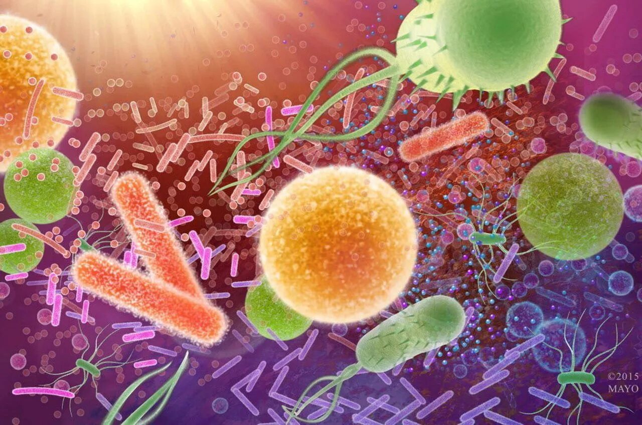 Микробы вирусы бактерии. Борьба с микробами. Вирусы и бактерии. Антибиотики и вирусы. Борьба с вирусами и бактериями.