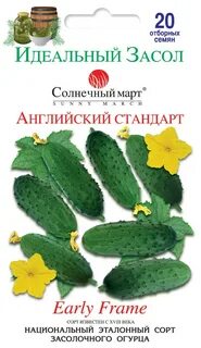 Огурец на английском