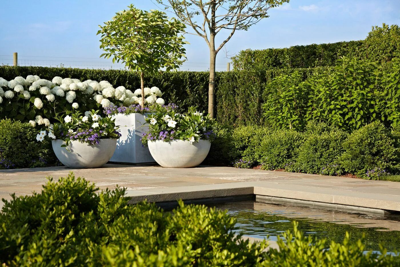 The Small Garden Design Ideas Modern garden, Balcony garden, Roof garden