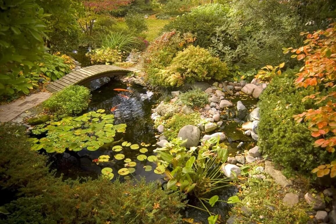 экологические сады. ландшафт в лесном природном стиле. ландшафт террасирование склона. пит удольф ландшафт. экостиль ландшафт пруд.