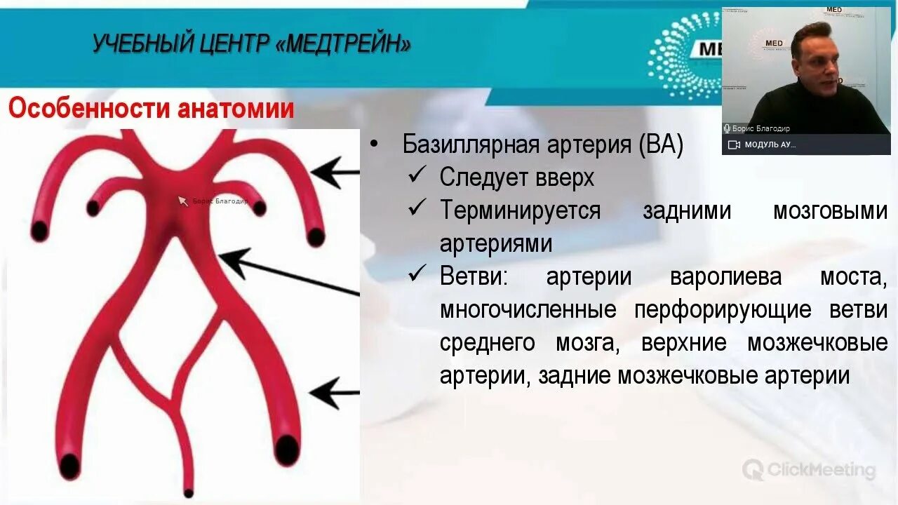 Благодир МЕДТРЕЙН. Сегменты позвоночных артерий. МЕДТРЕЙН вебинар УЗИ позвоночных артерий. Благодир УЗИ сосудов. Медтрейн личный