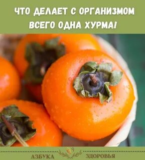 Хурма мочегонная или нет