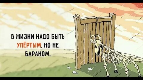 Как я буду биться
