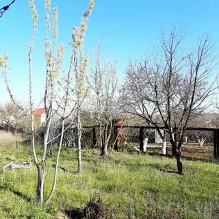 Снт металлург магнитогорск