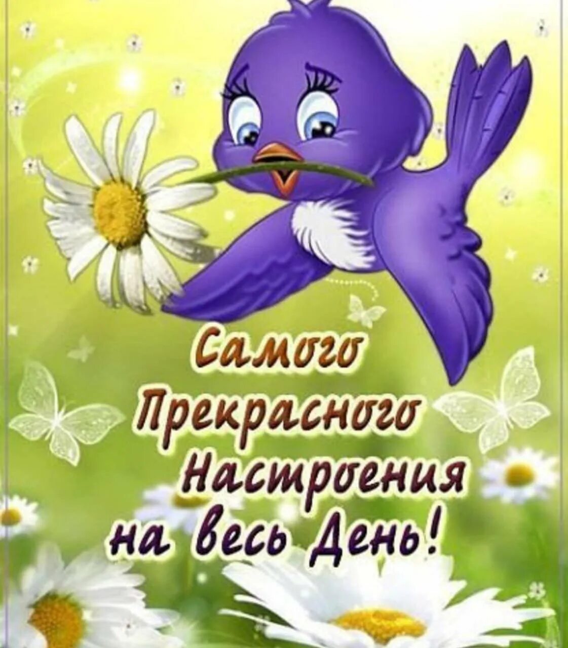 Картинки доброе отличного настроения. Прекрасного настроения на весь день. Хорошего дня птицы. Прекрасного дня и отличного настроения прикольные. Открытки хорошего денечка отличного настроения.