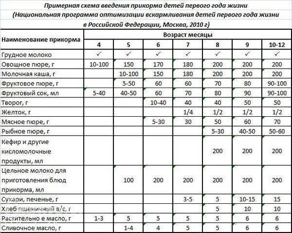 Схема введения прикорма воз по месяцам. Схема введения прикорма детей до 1 года. Схема ввода прикорма воз. Таблица введения прикорма при грудном вскармливании воз.