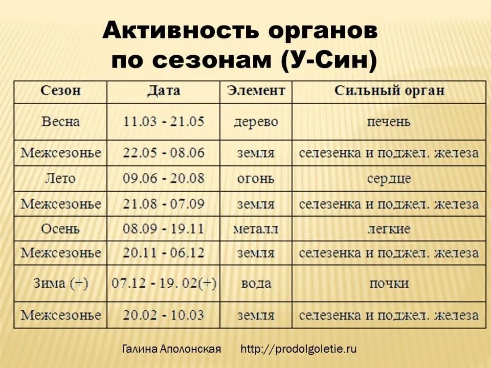 Активность органов по часам. У син работа органов по часам. Сезонная активность органов человека. Активность органов по времени. Активность работы органов по месяцам таблица.