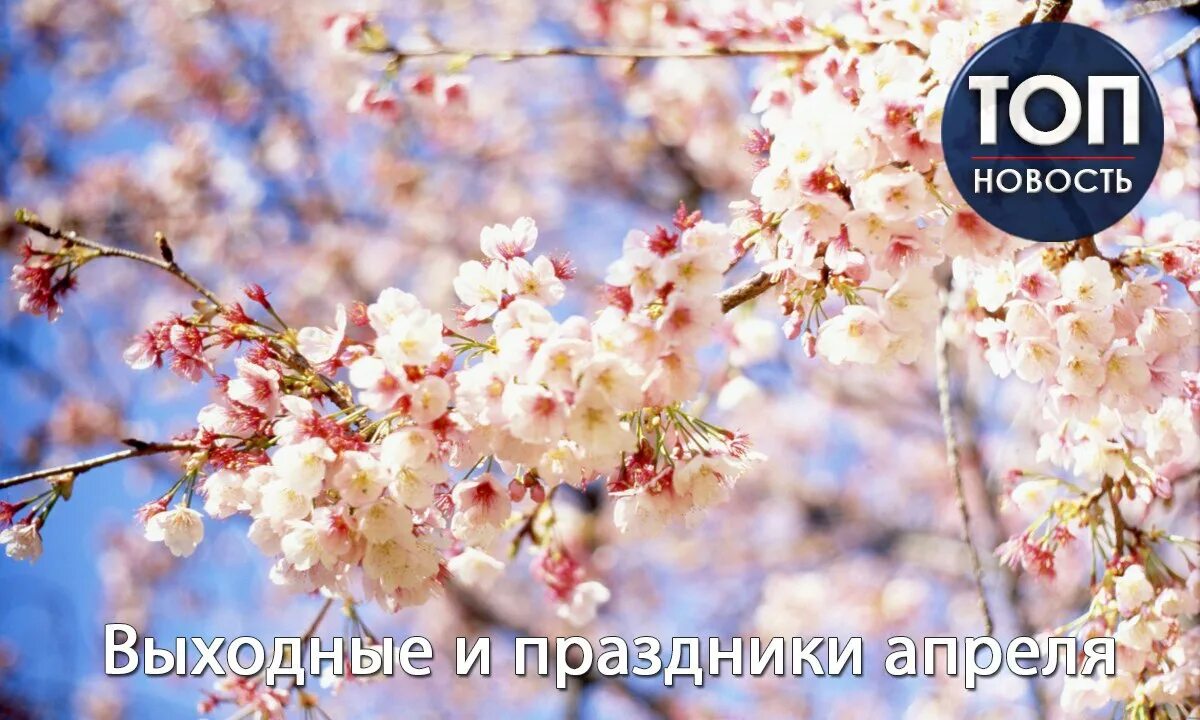 Праздники в апреле. Праздники в апреле в России. Апрель торжество. Стенд апрель праздники.