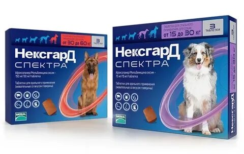 Рейтинг средств от клещей для собак 2024