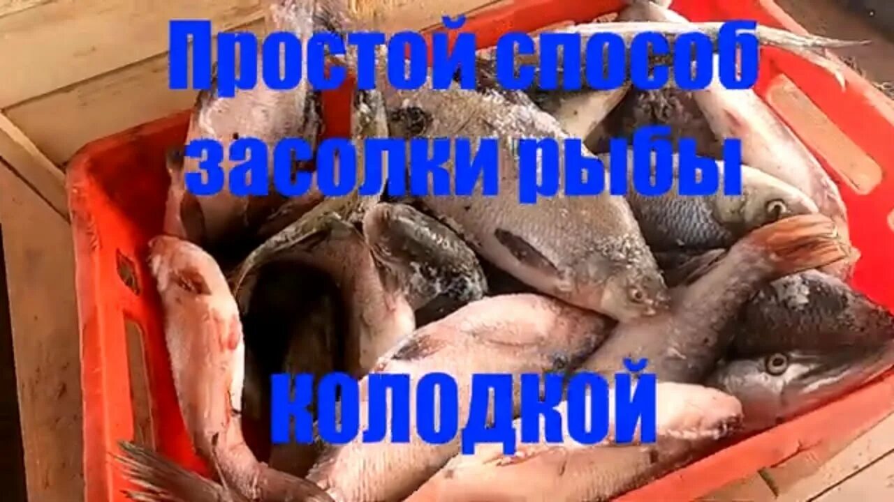 Как посолить леща сухим