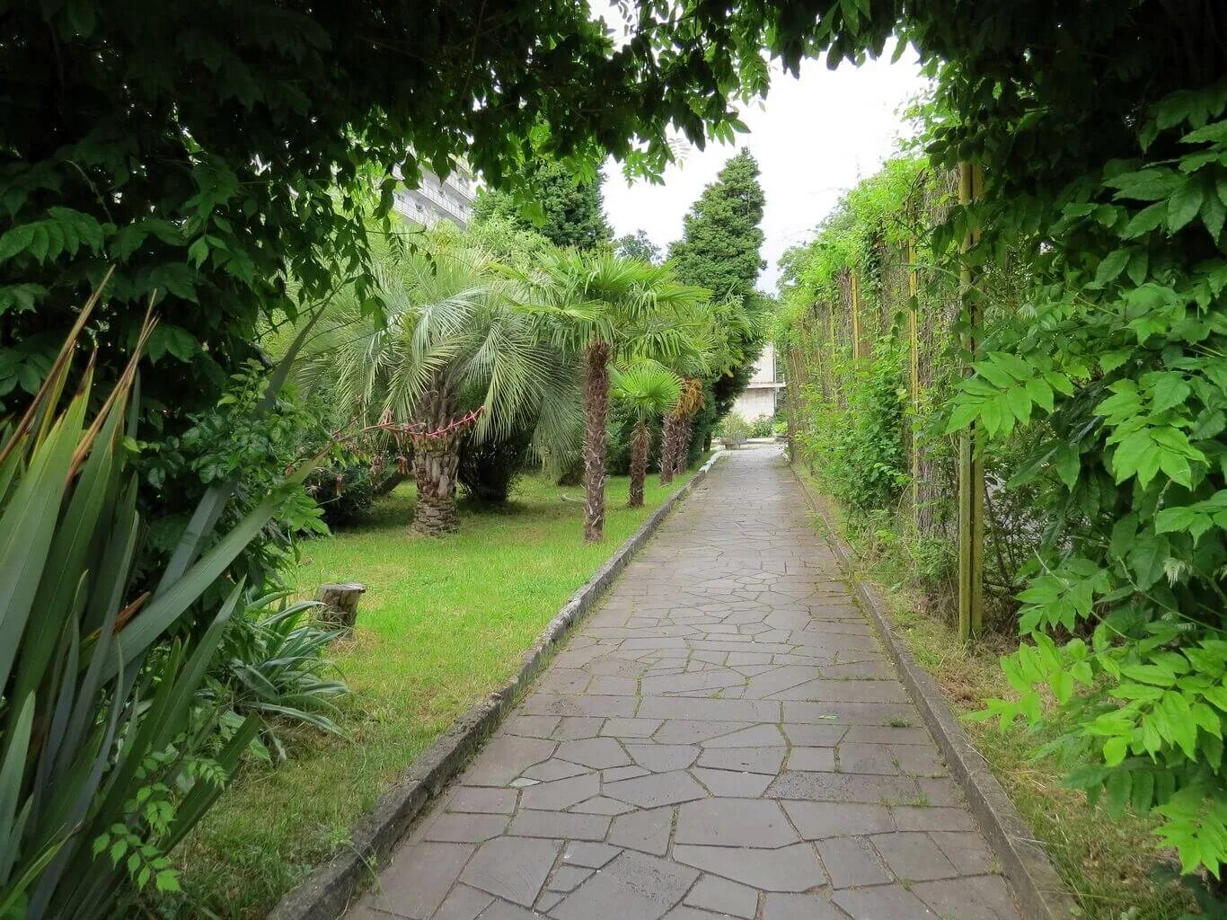 Отель питиус абхазия. Питиус абхазия пицунда. Питиус абхазия пицунда. Дом отдыха питиус 2* пицунда. Питиус 2 абхазия пицунда.