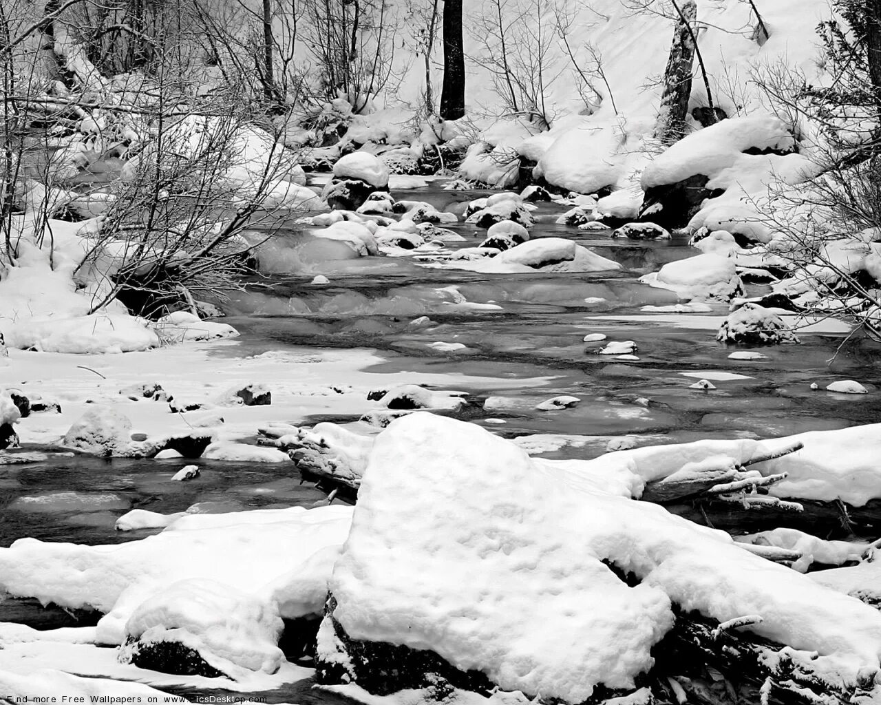 тают белые снега. тает тает белый снег. весенние ручьи. тают белые снега. тают белые снега.