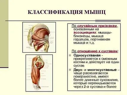 Случайный признак