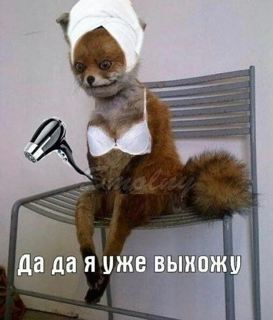 А я уже почти собралась. Упоротый лис. я уже выхожу. мем я уже выхожу. упоротый лис на работе.
