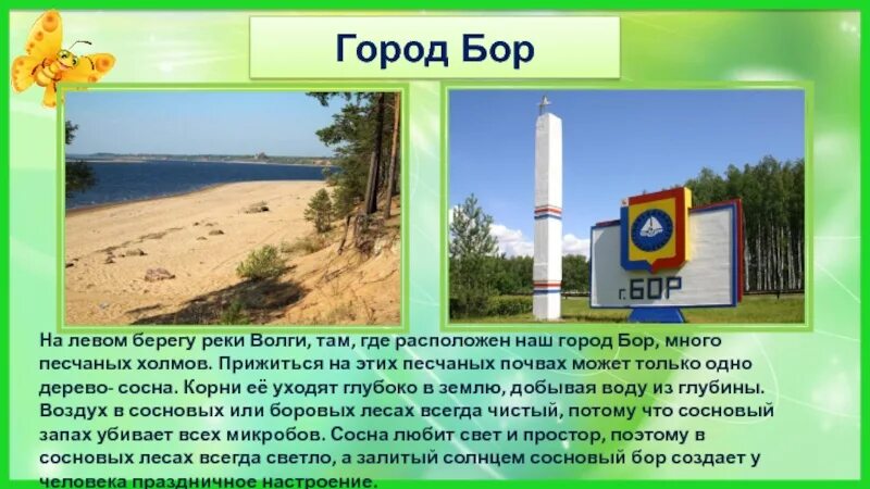 Презентация по краеведению город Бор. Рассказ о городе Бор. Город Бор название. Герб города Бор Нижегородской области. Почему бор назвали бор