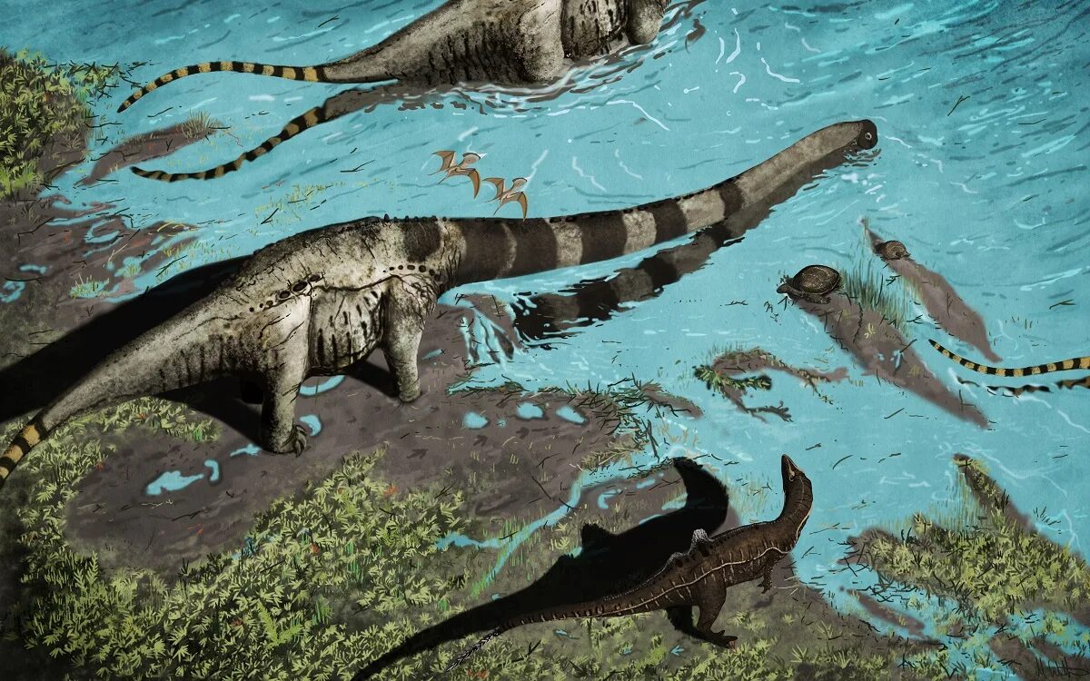 Древние времена динозавров. Морские динозавры Юрского периода. Юрский период пресмыкающиеся. Динозавры мелового периода.