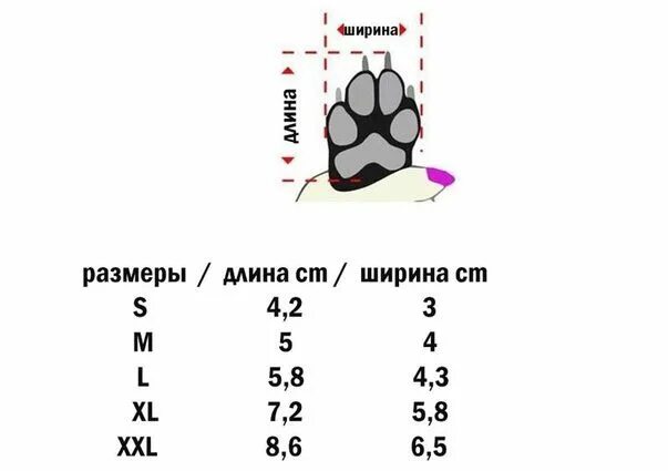 Как выбрать размер для собаки. Как определить размер обуви для собаки. как измерить размер лапы у собаки. размер обуви для собак таблица. размерная сетка обуви для собак маленьких пород.